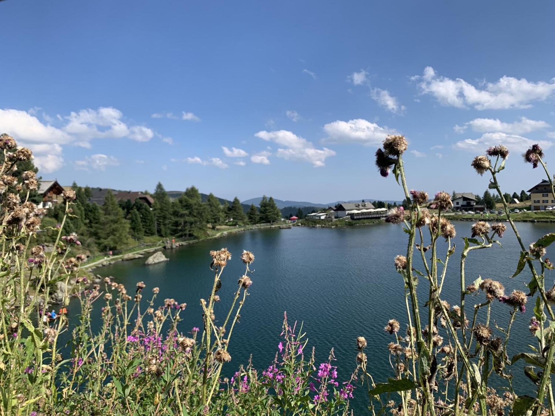 Gasthof Kirchenwirt Gnesau Esterno foto